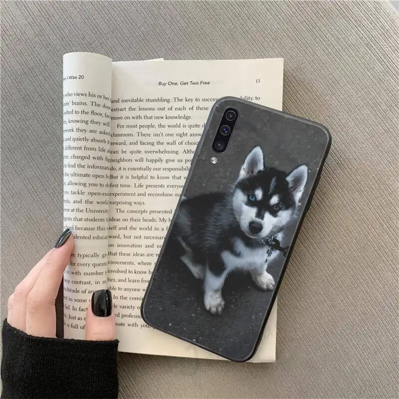 

Husky cute animal dog Phone Case For Samsung galaxy S 9 10 20 A 10 21 30 31 40 50 51 71 s note 20 j 4 2018 plus