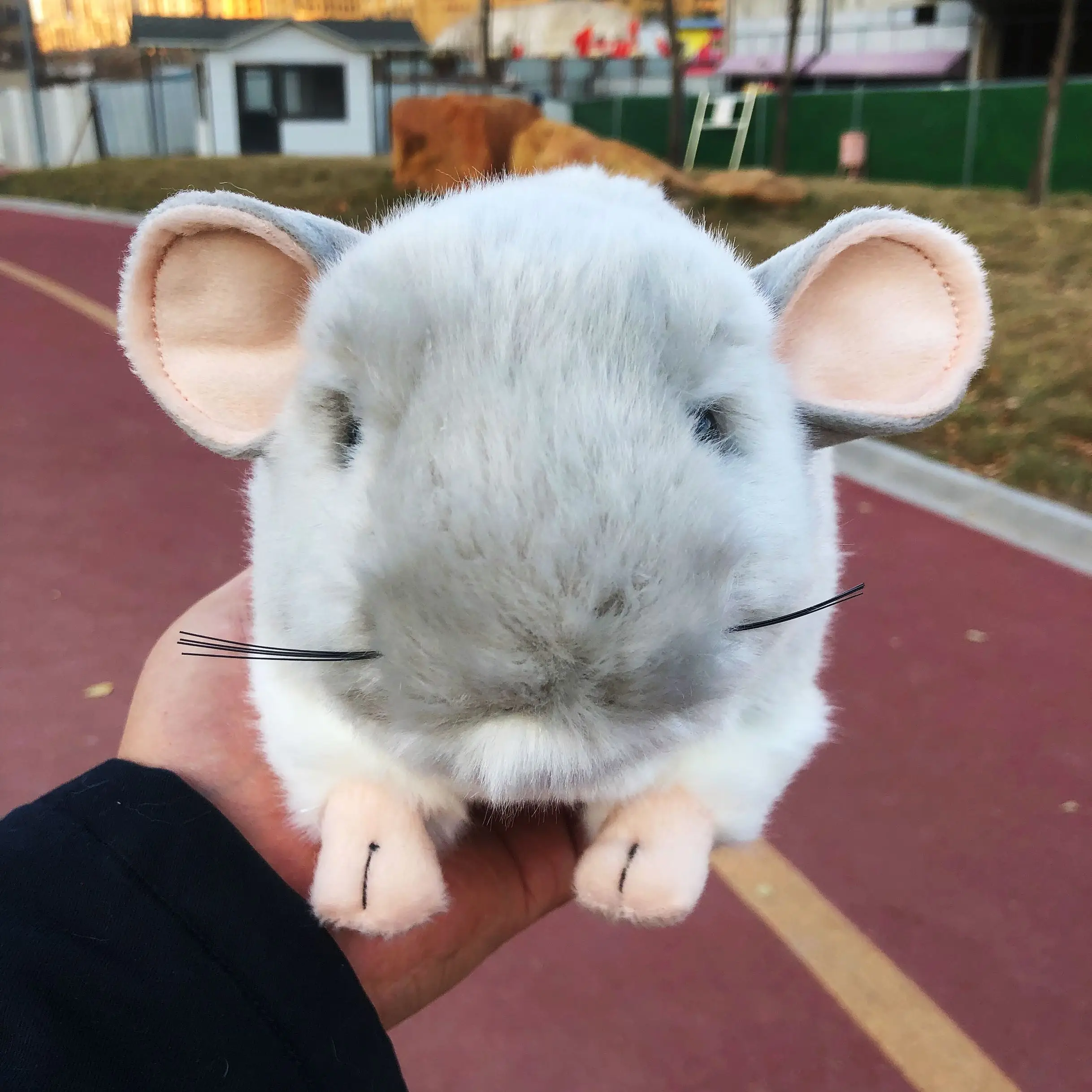 Редкие супер качество шиншилллады мышь милая мягкая плюшевая игрушка Зверюшка