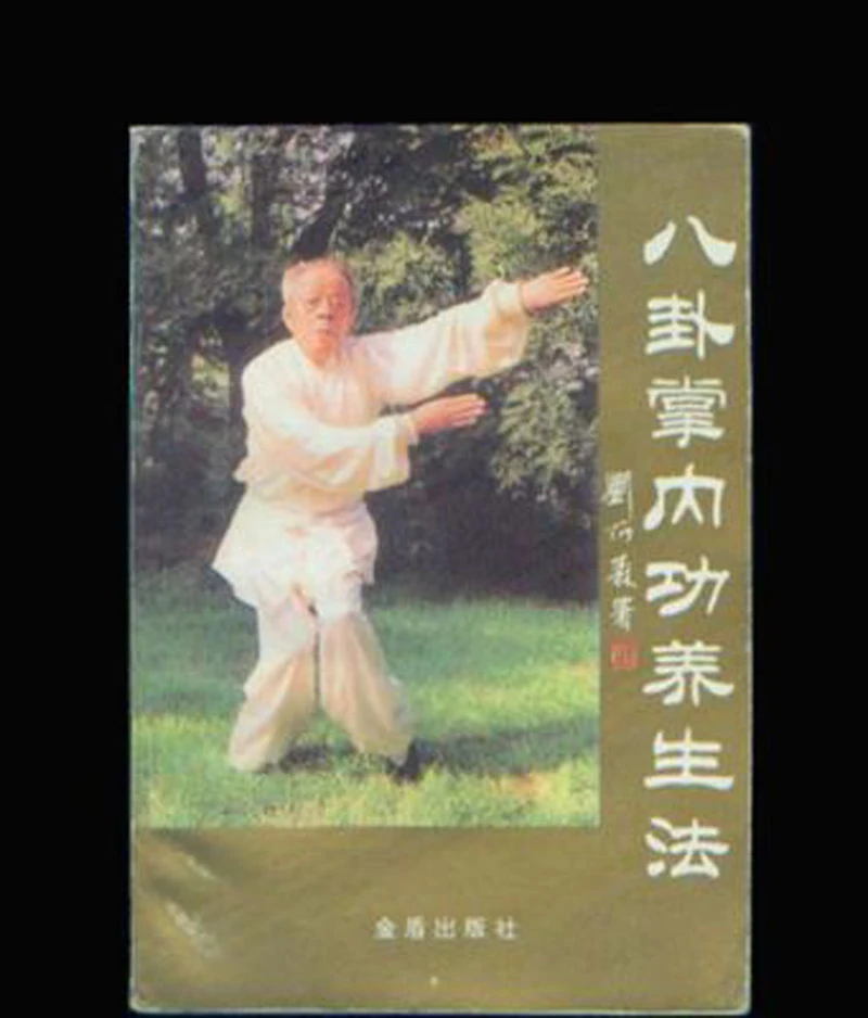 

Eight Trigrams Palm Ba Gua Zhang Introduction and Practice Kung Fu Wushu Book in chinese