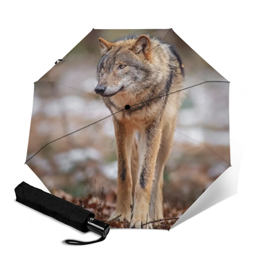 Зонтик складной для мужчин и женщин модный аксессуар от солнца дождя с