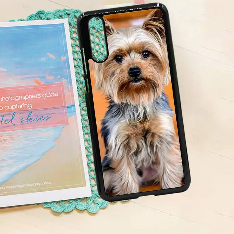 

Yorkshire terrier dog PUPPY Phone Case PC for iPhone 11 12 pro XS MAX 8 7 6 6S Plus X 5S SE 2020 XR high quality cover shell