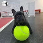 9,5 дюймов собака надувной Теннисный мяч гигантский интерактивный резиновая игрушка для животных собаки в форме теннисного мяча жевать игрушка для Тедди защитный чехол для телефона для домашних животных