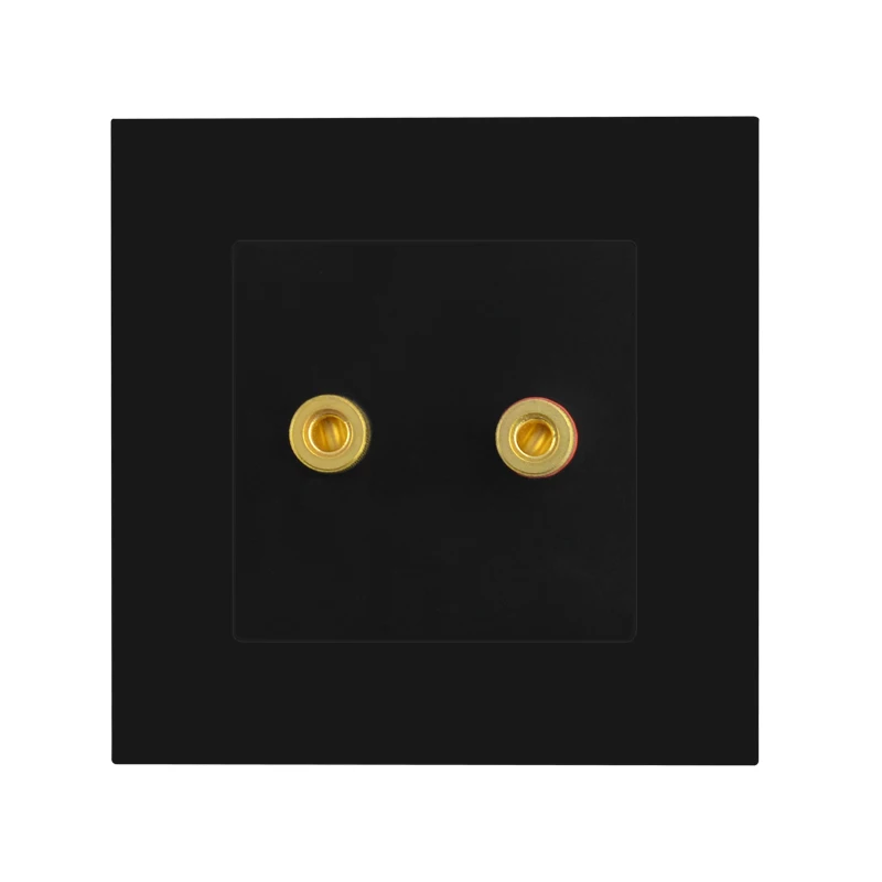 

Аудиорозетка Rewnssin черная 110-250В