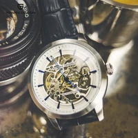 pagani design automatic watch men top brand luxury mens watches skeleton watch waterproof business sport mechanical wristwatch