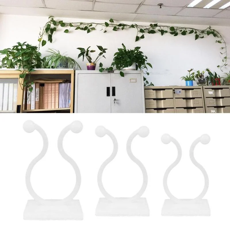 

10pcs Invisible Wall Vines Fixture Climbing Vine Plant Fixer Paste No Trace Sticky Hook For Home Balcony Garden Decor Hooks Hot
