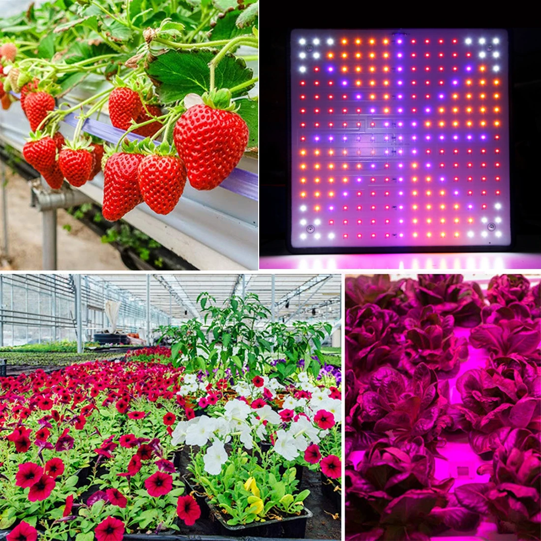 

LED Grow Light Phytolamp for Plants Phyto Lamp Flower Seeds for Garden Led Lamp Full Spectrum Grow Tent Indoor Growth Lighting