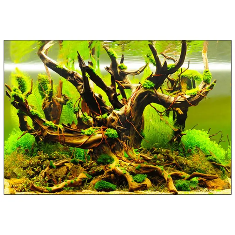 Фон с изображением аквариума 3D двусторонний плакат Морского Пейзажа