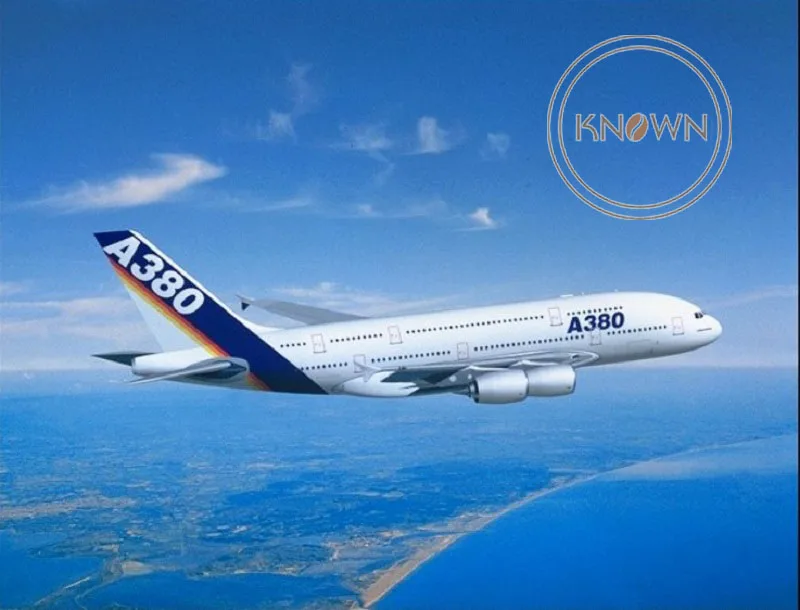 By airplane Низкая цена CE Гладкий конус для пиццы 2 формы Формочки машина для приготовления пиццы из нержавеющей стали конус формовочное оборудование - Цвет: By airplane
