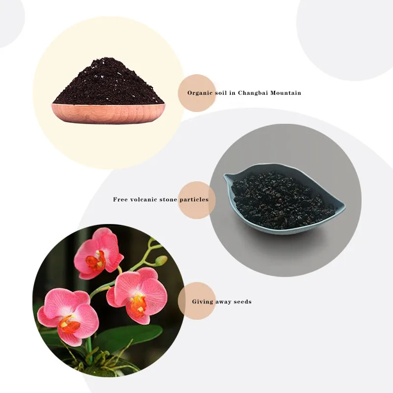 Ваза для растений цветочный горшок настольное растение украшение дома бонсай