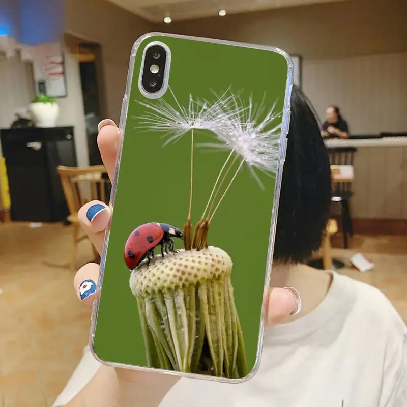 

four leaf ladybug daisy Phone Case Transparent soft For iphone 5 5s 5c se 6 6s 7 8 11 12 plus mini x xs xr pro max