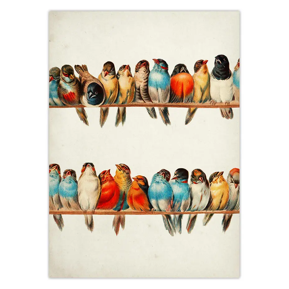 

Vintage Bird Poster Retro Wall Art Colorful Bird Illustration Antique Animal Picture Home Decoration Retro poster kraft paper
