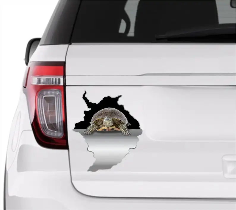 

Car sticker Turtle sticker Sticker car Sea turtle sticker Turtle decal Water bottle sticker Ocean sticker Turtle sticker gift