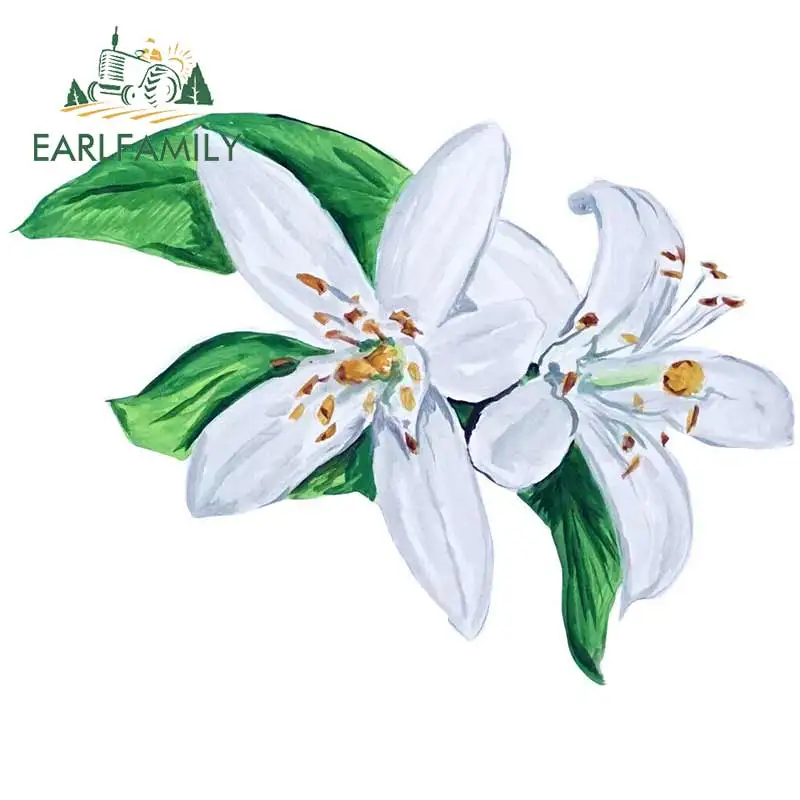 EARLFAMILY 13 см x 9 5 апельсиновый цвет Наклейка лагерь природы дикой на открытом