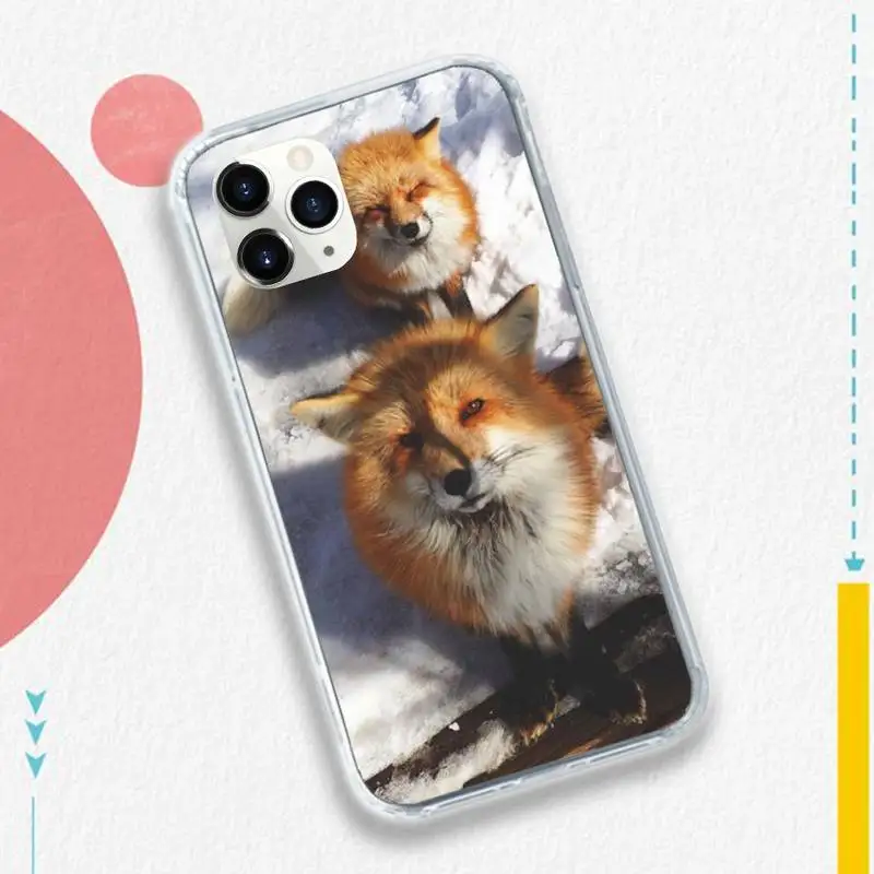 

Animal Raccoon Fox fashion Phone Case for iPhone 11 12 pro XS MAX 8 7 6 6S Plus X 5S SE 2020 XR