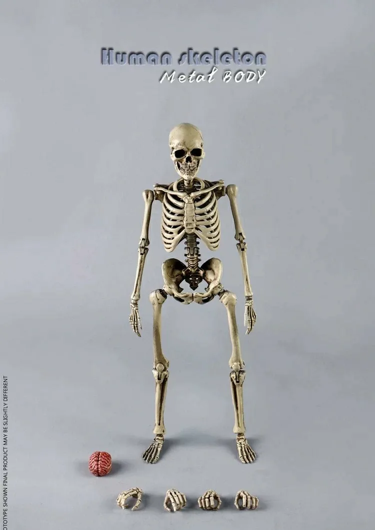 

Каркас COOMODEL 1/6 BS011, высокоподвижный корпус, полностью из металлического сплава