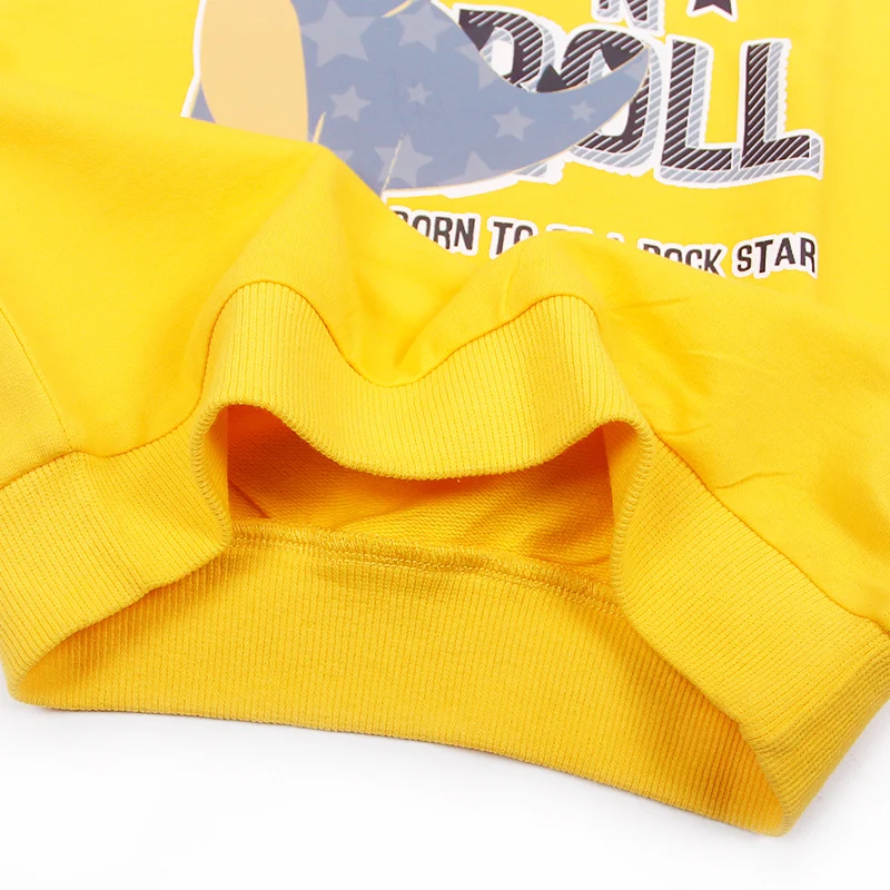 

Hoodies Cartoon Sweatshirts Clothing Toddlers Baby-Boys-Girls Kids Unisex Children Cotton Tops Print Dinosaur Autumn Spring