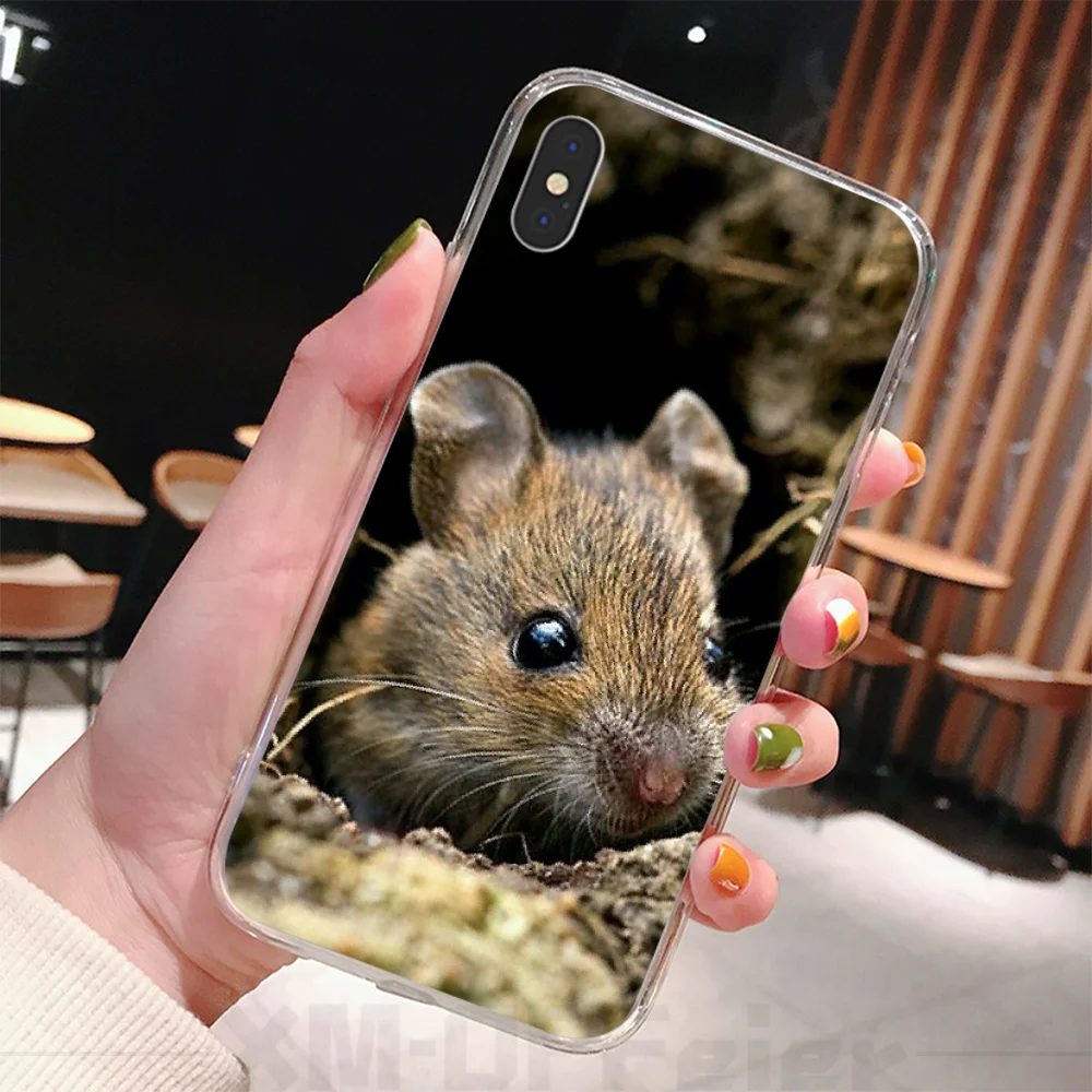 BaweiTE Cute Animal Rat Eating food lovely Custom Photo Phone Case for iPhone 11 pro XS MAX 8 7 6 6S Plus X 5 5S SE XR cover | Мобильные