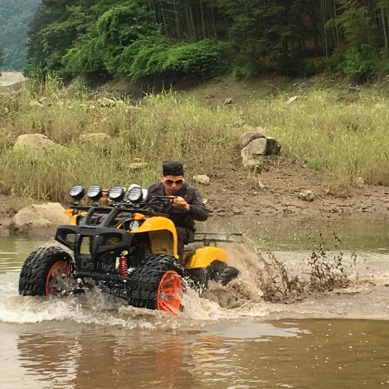 Может работать в воде 250CC большой двигатель приведенный действие газом ATV mtb