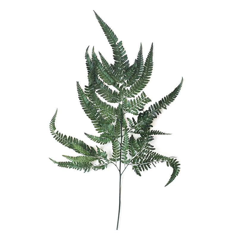 

The Nordic Isn Green Color Sheep Fern Fern Fern Leaf Natural Dried Leaves Dried Preserved Fresh Flower Green Vegetation