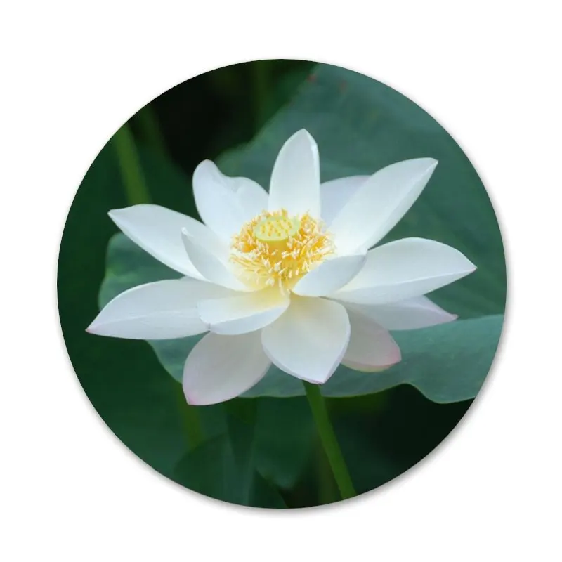 58 мм с белым лотосом значок на булавке декоративные Броши Металлические Значки