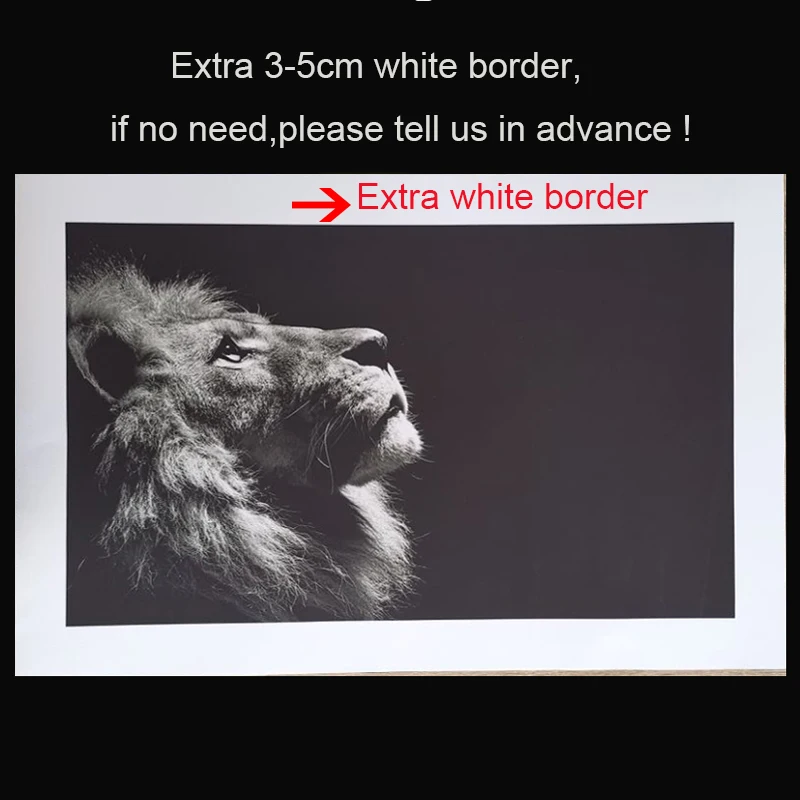 

Wall Art Canvas Painting Abstract Colorful Posters and Prints Sexy Girl and Lion Wall Pictures for Living Room Quadro Home Decor