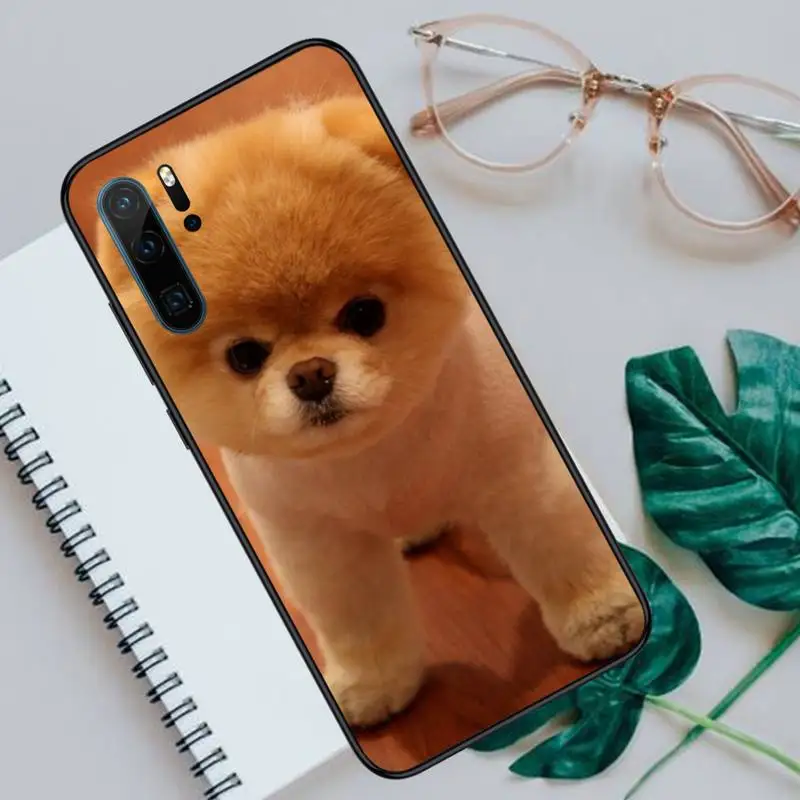 

cute dog Pomeranian Phone Cases For Huawei P40 P20 P30 lite Pro P Smart 2019 Mate 40 20 10 Lite Pro Nova 5t