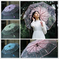 womens rain umbrella multicolor transparent clear cherry blossom mushroom apollo sakura printed three folding rain umbrella