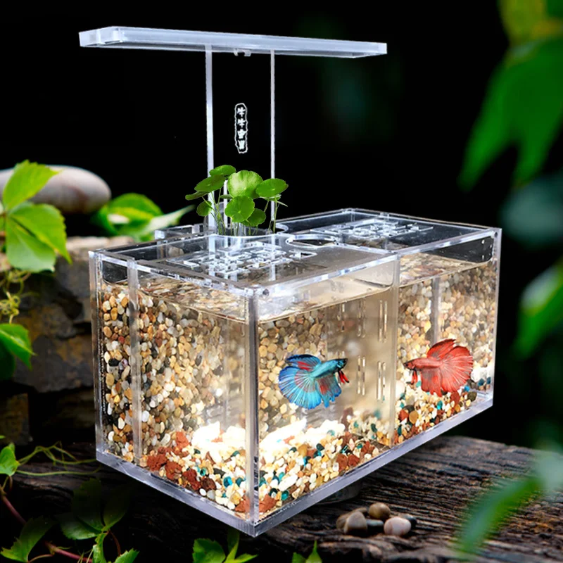 Tanque de Peixes Caixa de Isolamento Troca de Água com Led Lâmpada de Mesa Bomba de Água Acrílico Livre Filtro Aquário Escritório Desktop Decoração