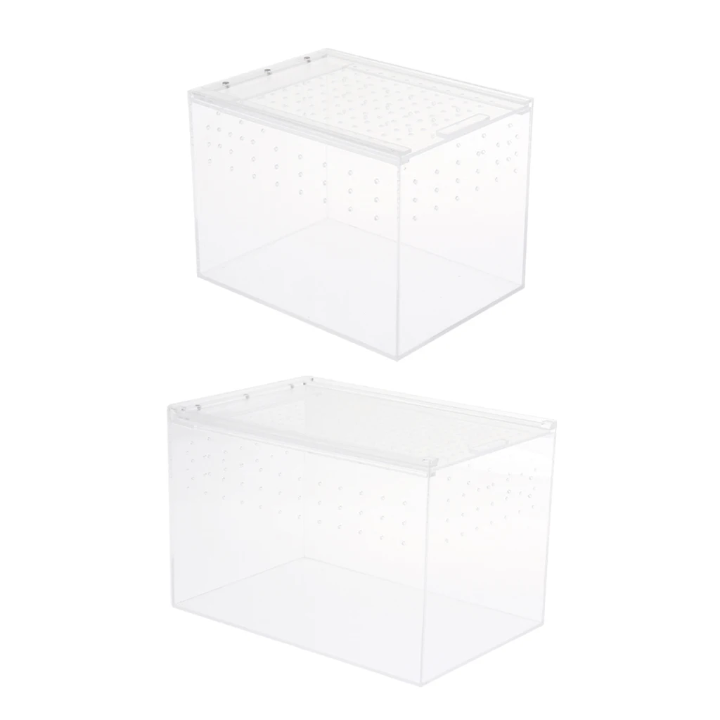

High Light Transmittance Acrylic Reptile & Amphibian Breeding Box - L