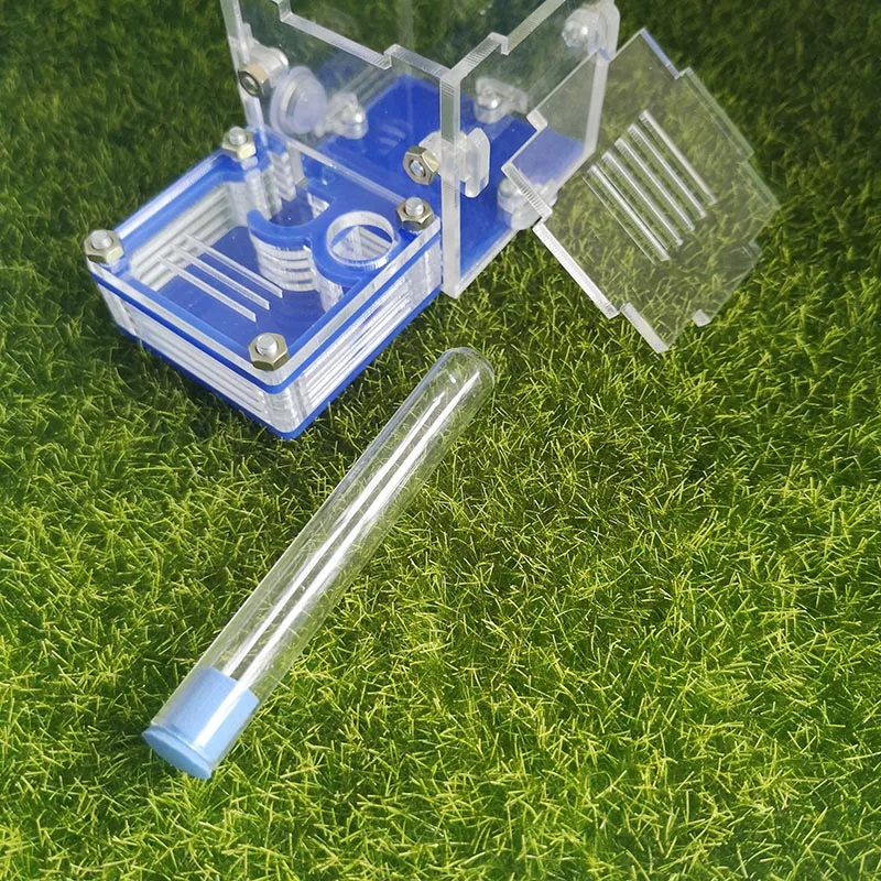 

Ant Flat Nest Palm Middle Nest New Back Plane Acrylic Nest Ant Workshop Pet Ant Small Community Test Tube Nest ant farm insect