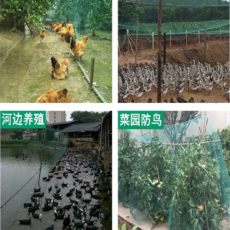 18 strands-4cm Orchard protection net Chicken and duck breeding net Garden Fencing Fence net Golf net You can customize the size