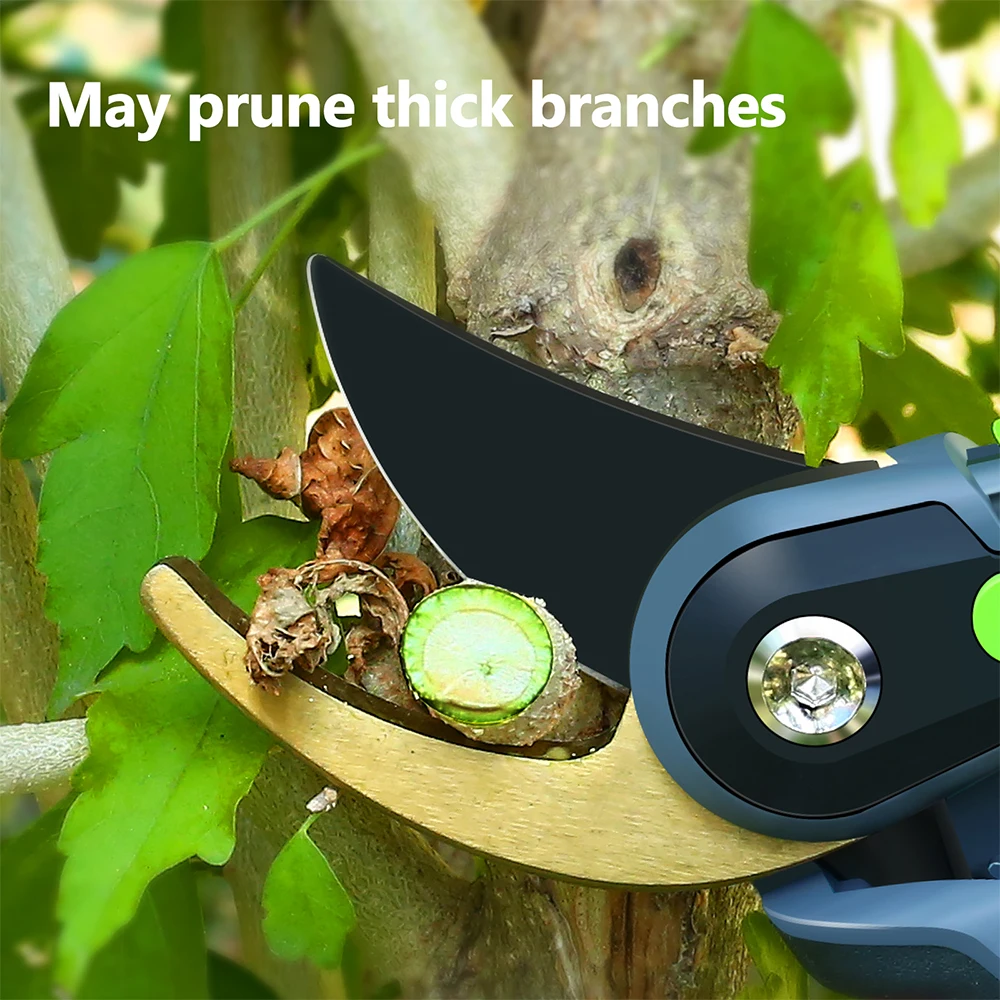 

TAITU Horticulture Pruner Cut Plant Trim Secateur Shrub Garden Scissor Tool Anvil Branch Shear Orchard Hand Pruning Shears