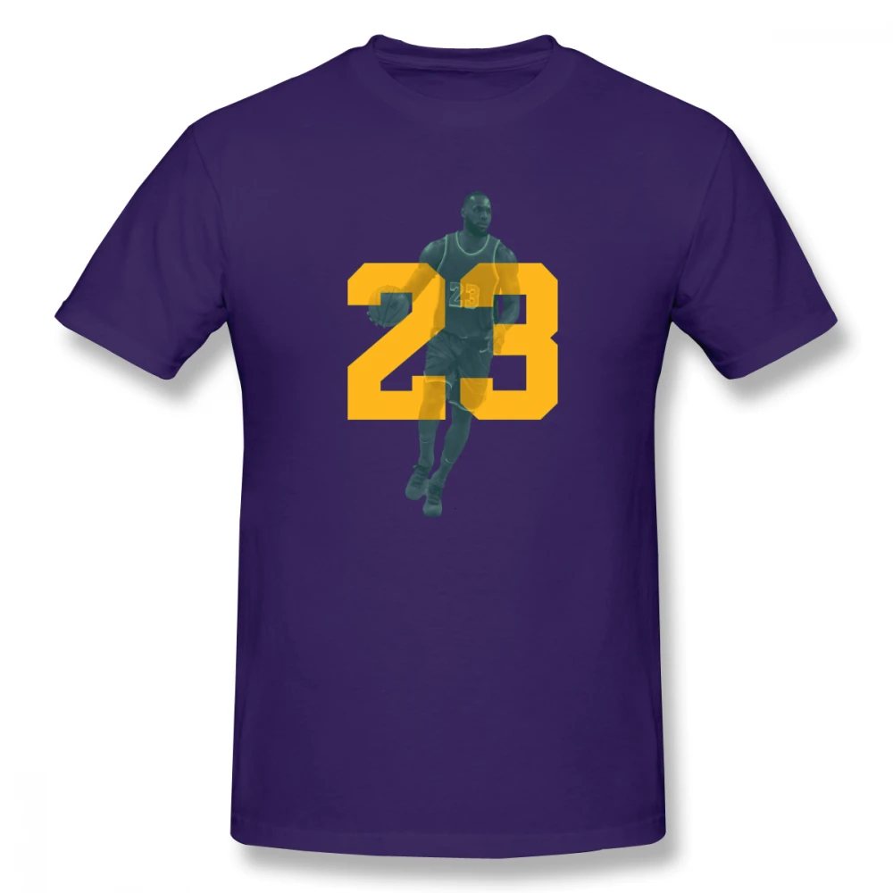 Футболка мужская с коротким рукавом базовая Повседневная много цветов Леброн и