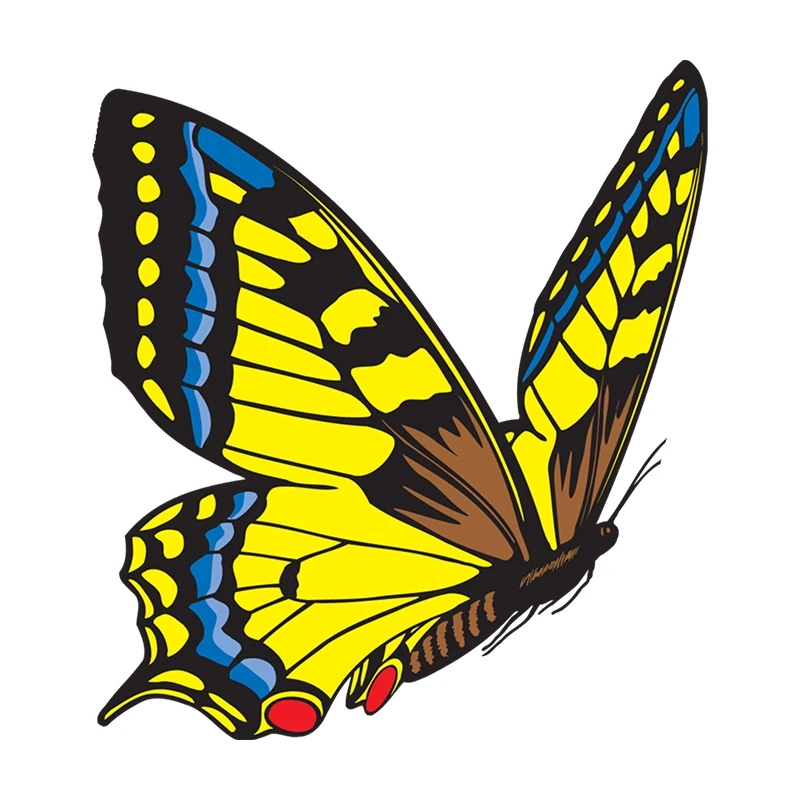 

RuleMylife Butterfly Silhouette Removable Colored Car Stickers For Volkswagen Passat B6 Bmw E46 E90 Automobile Car Accessories