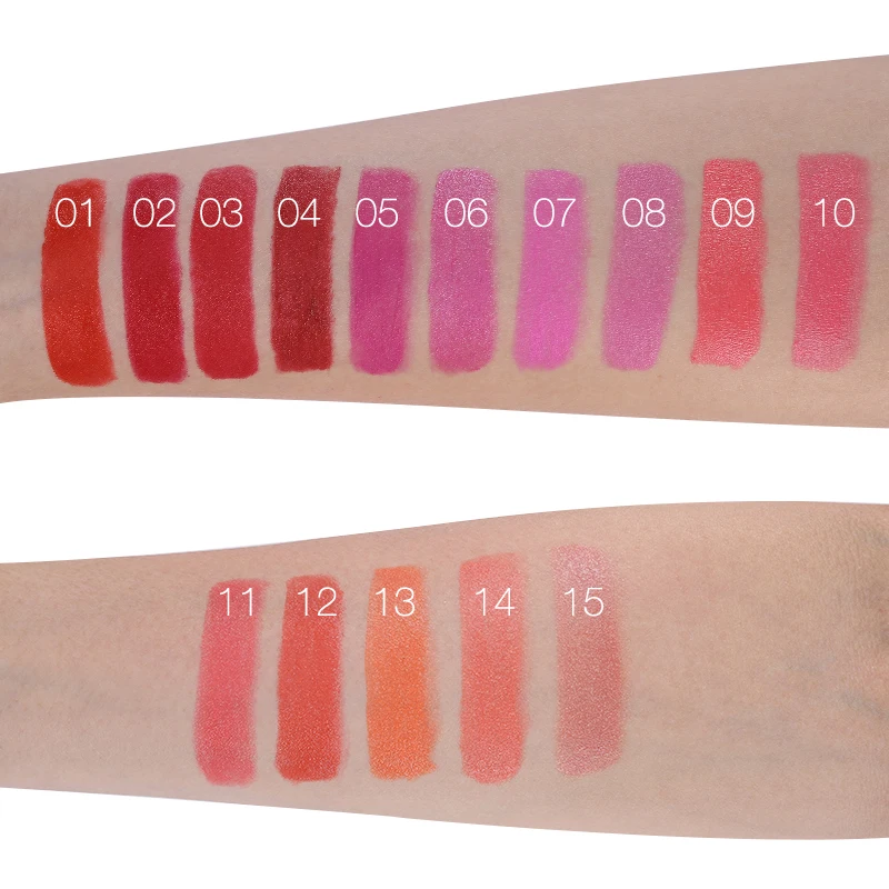 New Brand Makeup Matte Lipstick Set 15 Color Long Lasting Lip Stick Red Balm Nude Sexy Women Beauty Cosmetic Rouge Make Up |