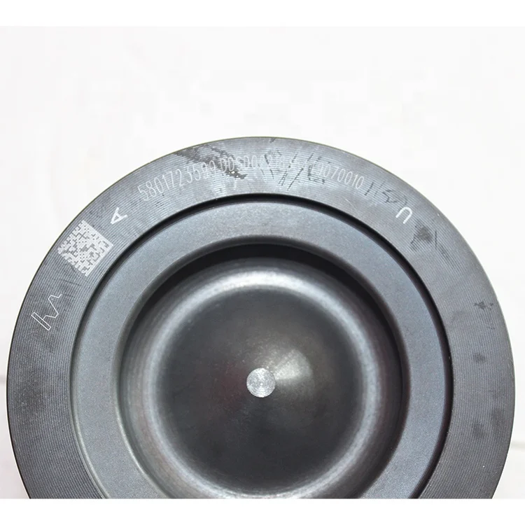 

SAIC HONGYAN Cursor 9 Engine 5801723599 Piston assembly