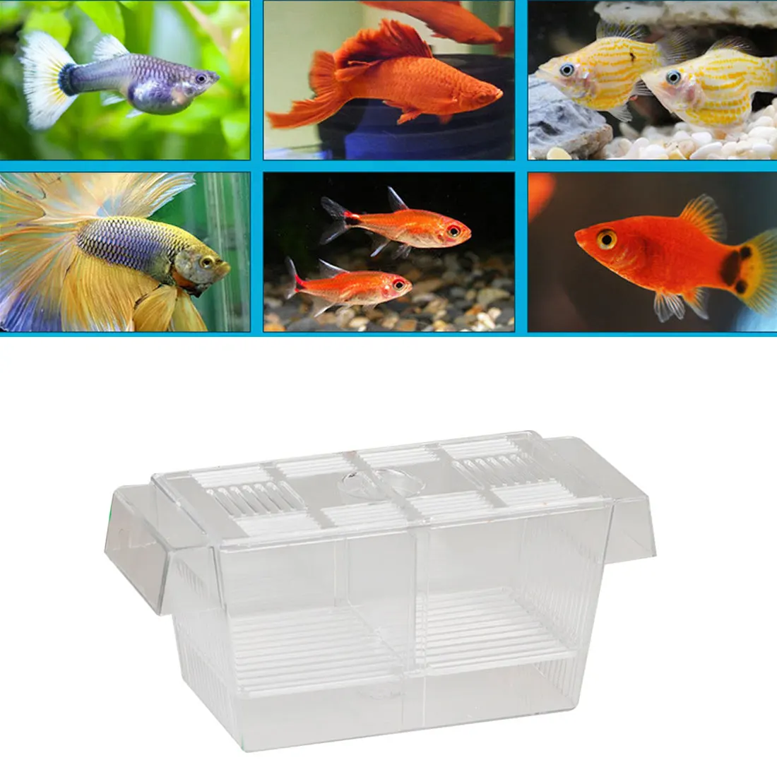 Прозрачный аквариум двойная миска Боевая рыба мини домик инкубатор ящик для