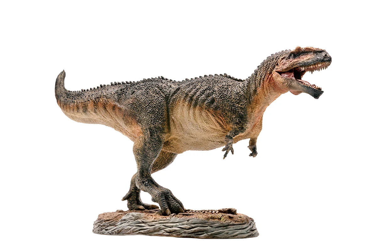 PNSO-Serie de museo de dinosaurios: Lucas el giganosaurus 1:35, modelos de arte cient&iacute;fico-2