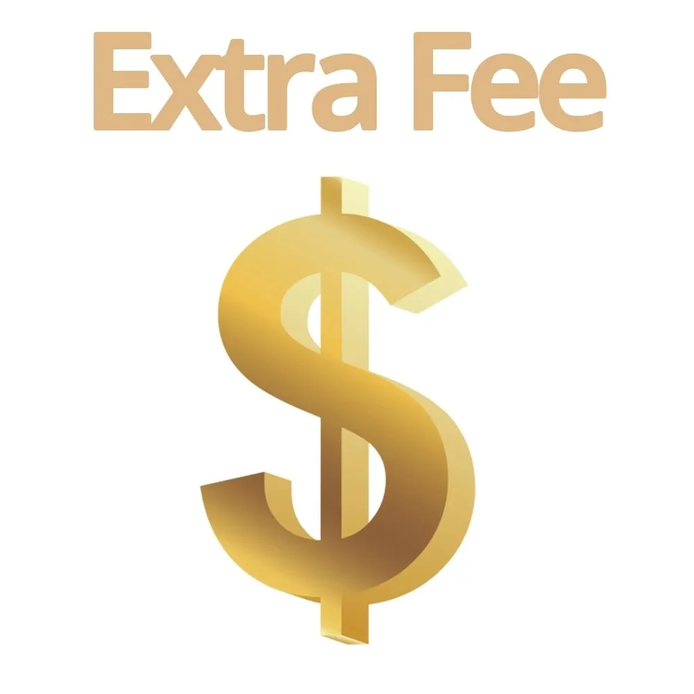 

Payment Link Only