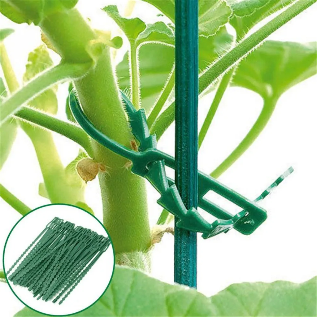 

100pcs Plant Ties Re-Usable Adjustable Plastic Tie Foothold Tree Lashing Strap Support Plant Steady Multifunctional Plastic Tie