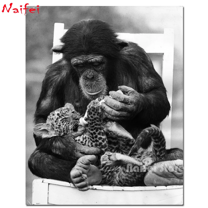 DIY Алмазная картина забавные животные Горилла и леопард cub вышивка крестиком