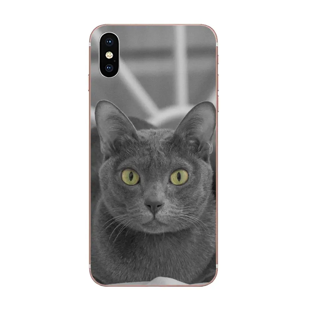 Домашние животные русские синие кошачьи зеленые глаза для Galaxy Alpha Note 10 Pro A10 A20 A20E A30