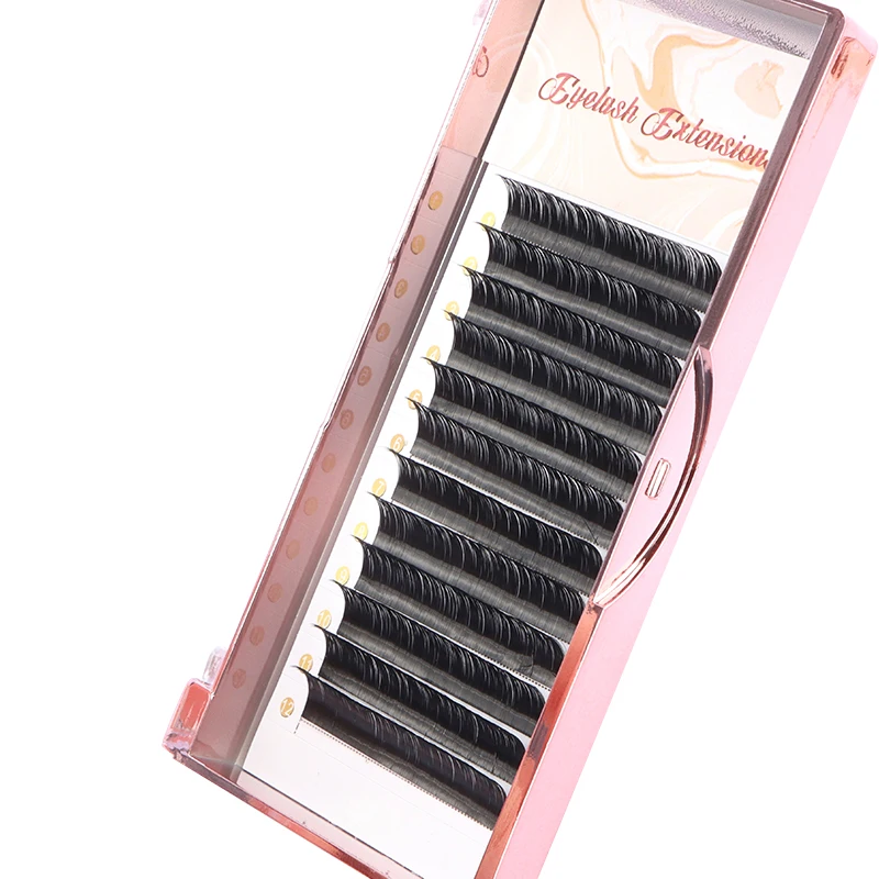 Factory supplied Private Labels Russian Volume Eyelashes C CC D DD Eyelash Extensions | False