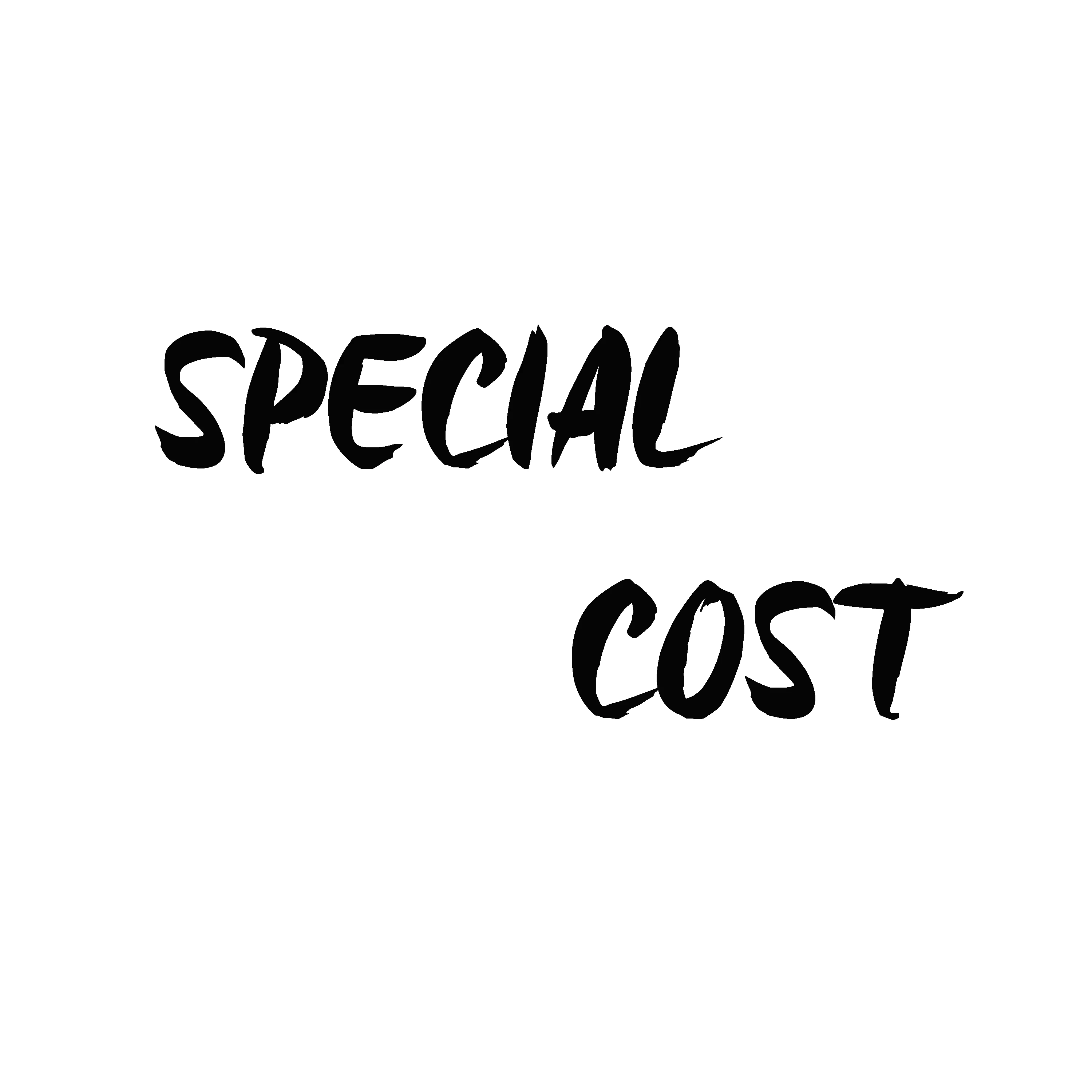 

Special Cost