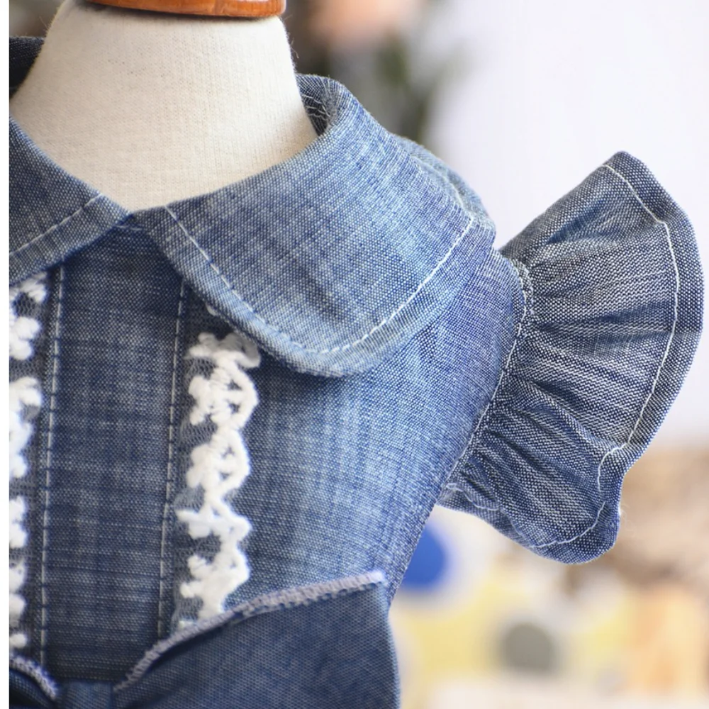 Одежда для домашних животных осенняя и зимняя юбка тонкая собак джинсовая с