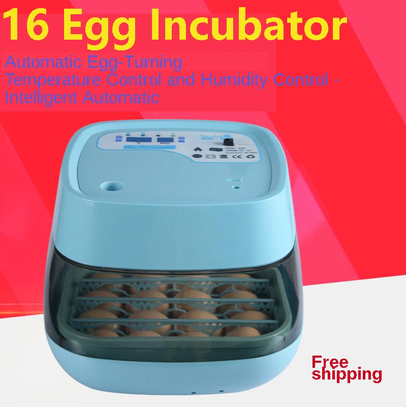 

Home Egg Incubator Coincubating 16 Egg Farm Incubators Chicken Incubating Education