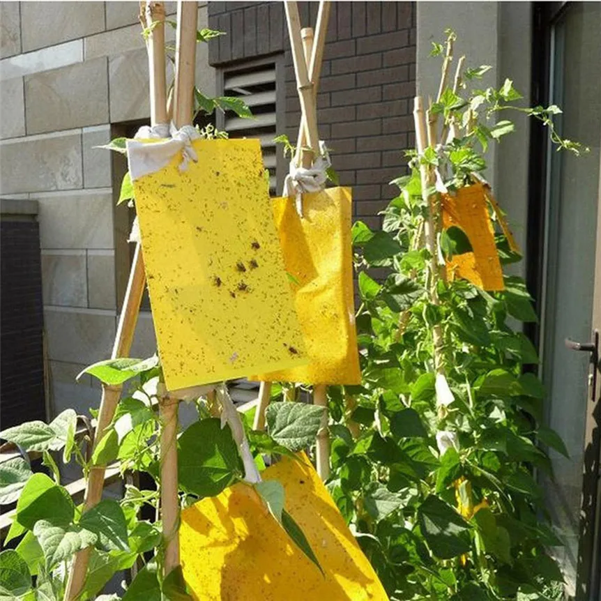 

20pcs Strong Flies Traps Bugs Sticky Board Catching Aphid Insects Pest Killer Outdoor Fly Trap for Aphids Fungus Flies