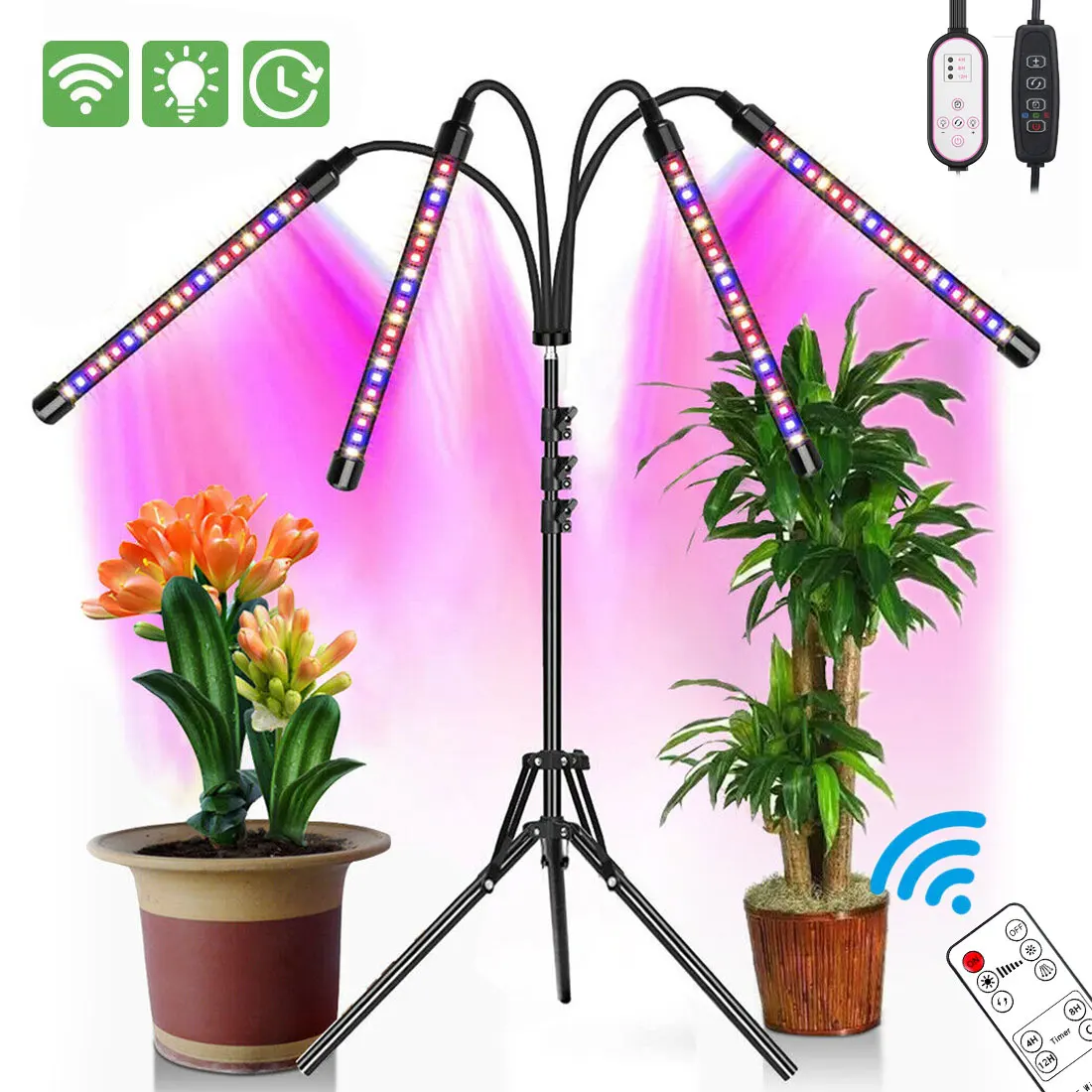 

Professional Light