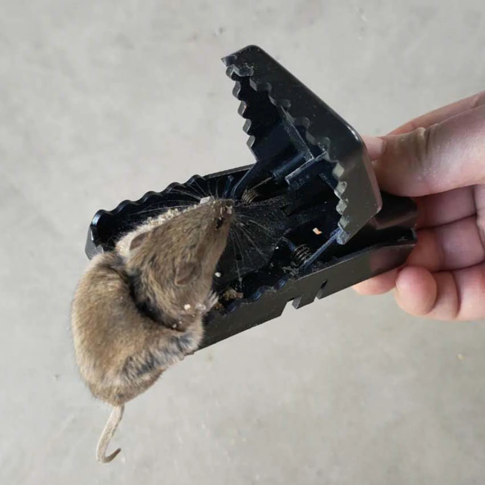 

Mouse Traps for House - 6 Pack Small Mice Snap Catcher for Home Quick Effective Sanitary Safe Mousetrap for Family Indoor