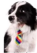 100 шт./лот горячая Распродажа цветной для домашних животных собак щенков